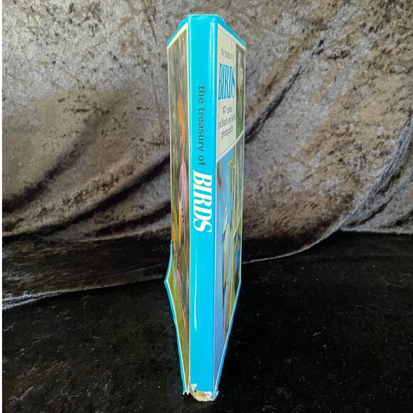 The Treasury of Birds | 1972 | Vintage Bird Book - Picture 8 of 10